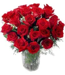 Luxurious Red Roses