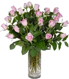 Two Dozen Pink Roses Beautiful Bouquet